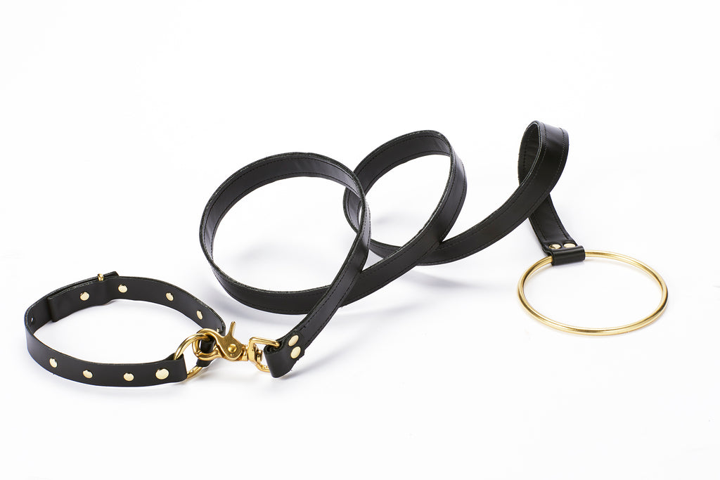 Pet Leash