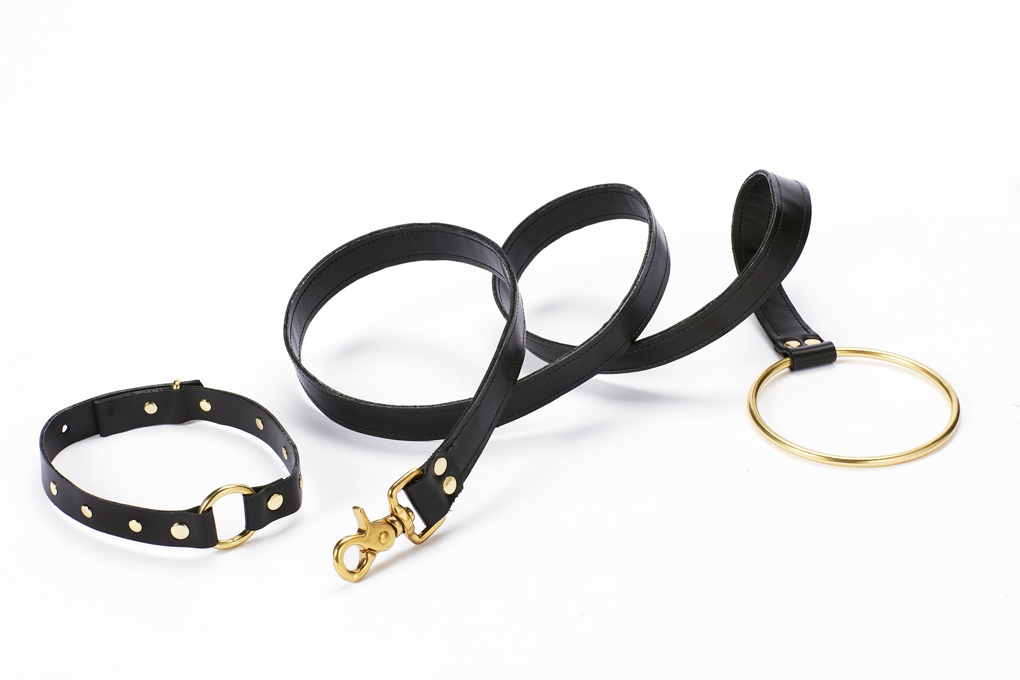 Pet Leash