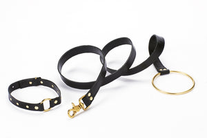Pet Leash